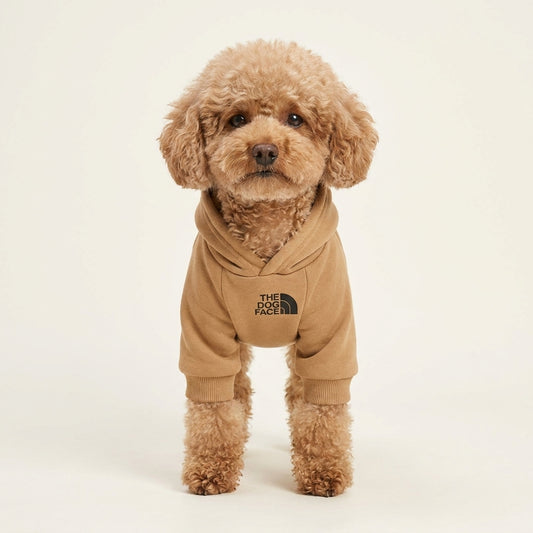FrontierPocket Sweater image 1