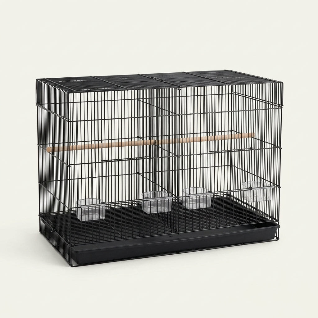 Section Image